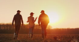 3 farmers walking toward some trees at sunset
